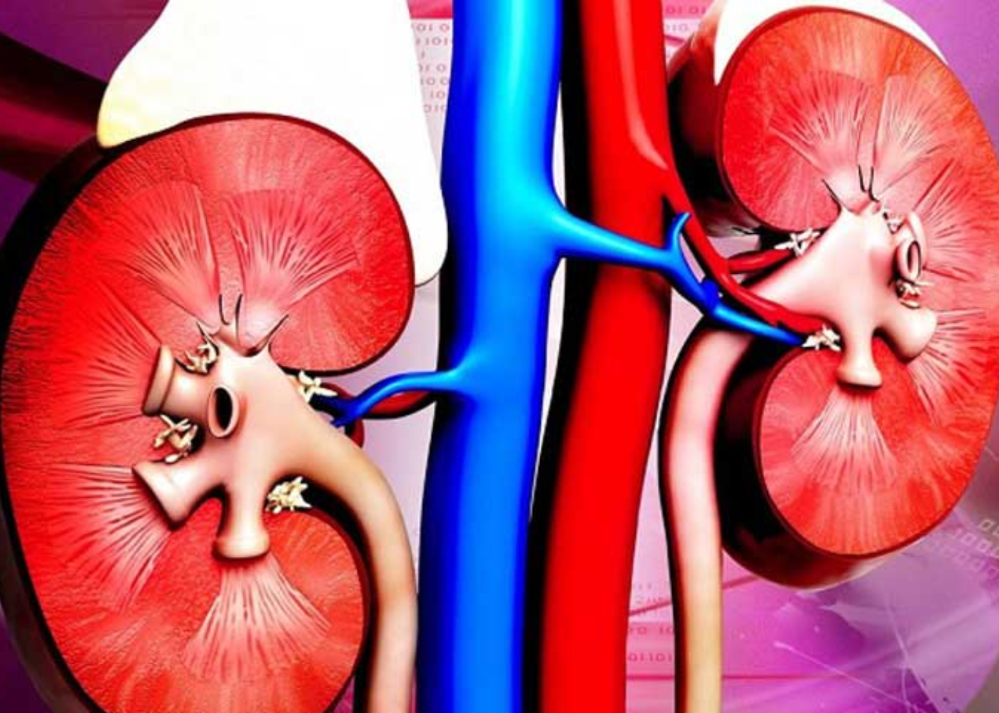 Cập nhật các bước tiến điều trị bệnh cầu thận IgA, FFGS